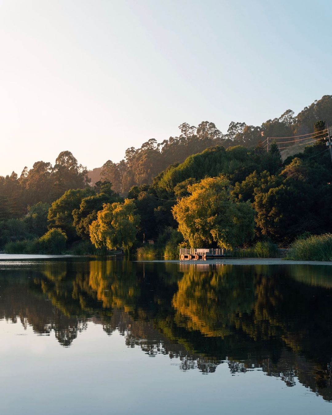Lake Temescal at sunset with the reflection of trees on the still water. Photo by Instagram username @ryan.a.sullivan