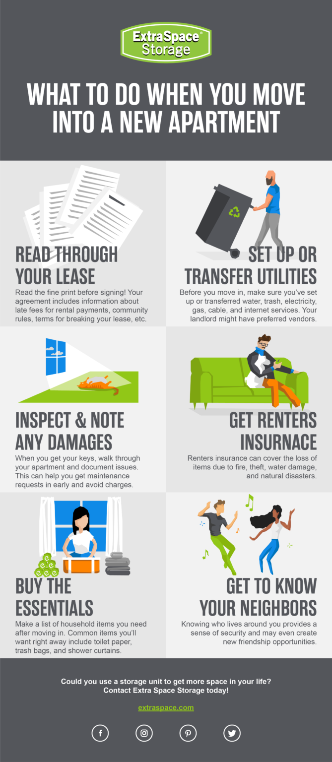 Infographic What to Do When You Move into a New Apartment