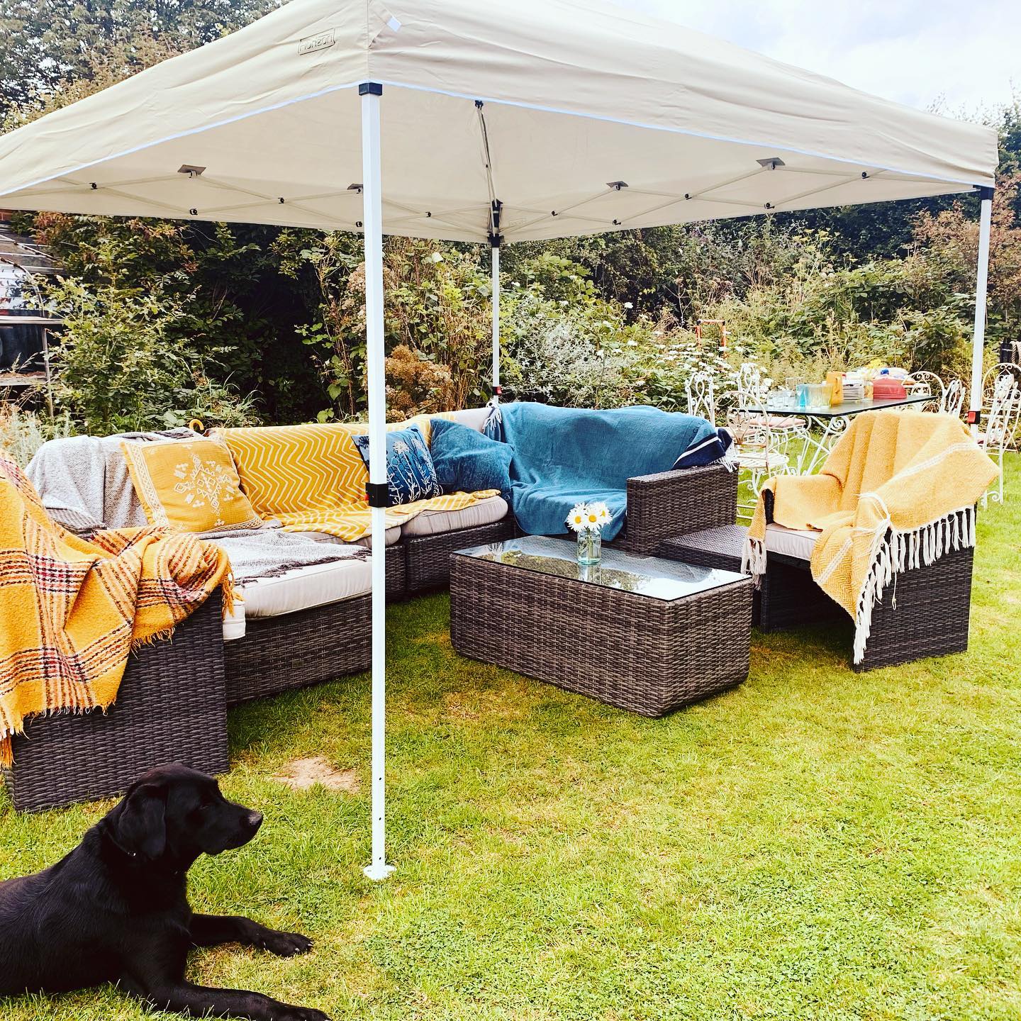 A sectional patio couch covered in blankets beneath a backyard canopy tent, with a black Labrador Retriever sitting beside it. Photo by Instagram user @htmg_heminsleytaylormade
