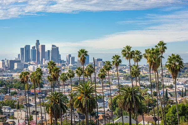 Palm trees blocking the view of downtown Los Angeles on sunny day