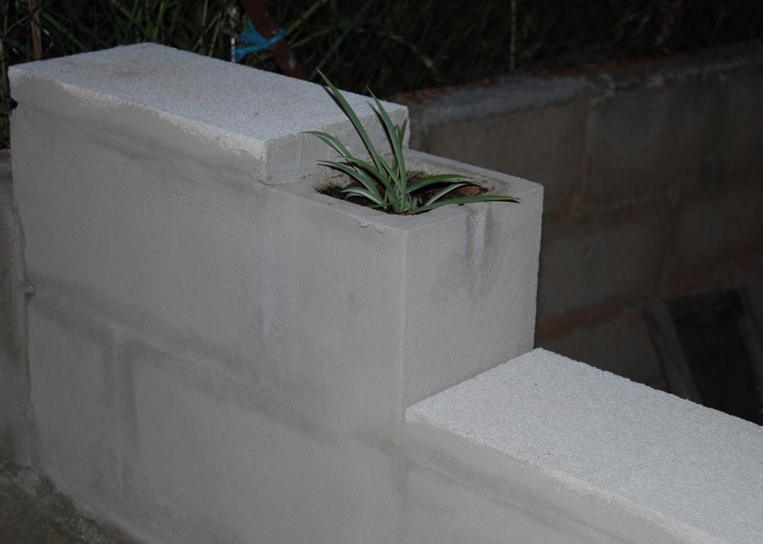 Planter inside cinder block wall