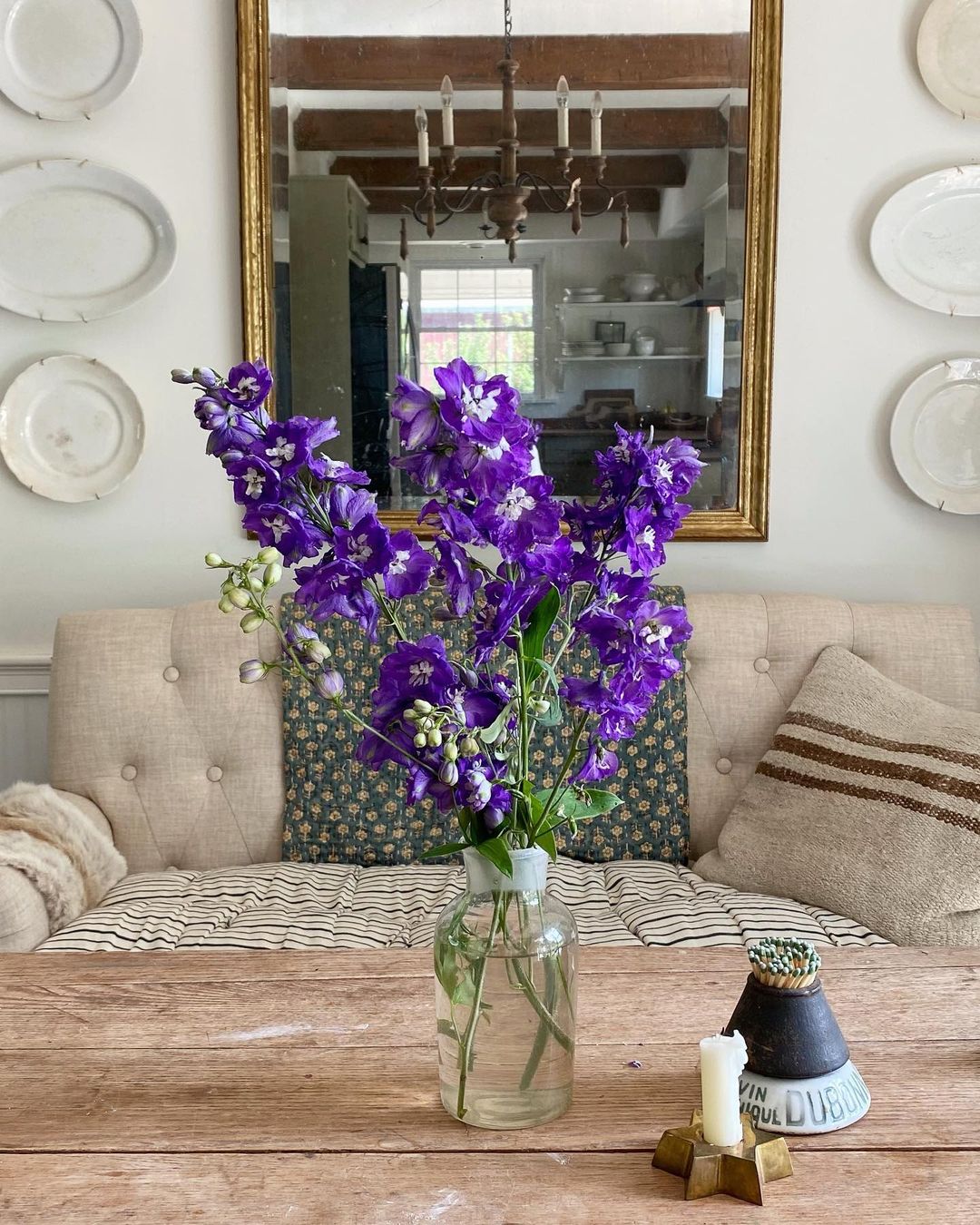 Coffee table with Delphinium flower. Photo by Instagram user @megan.d.miller