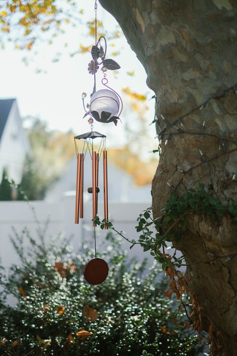 A wind chime hanging from a tree. Photo by Instagram user @shoprightonchime.