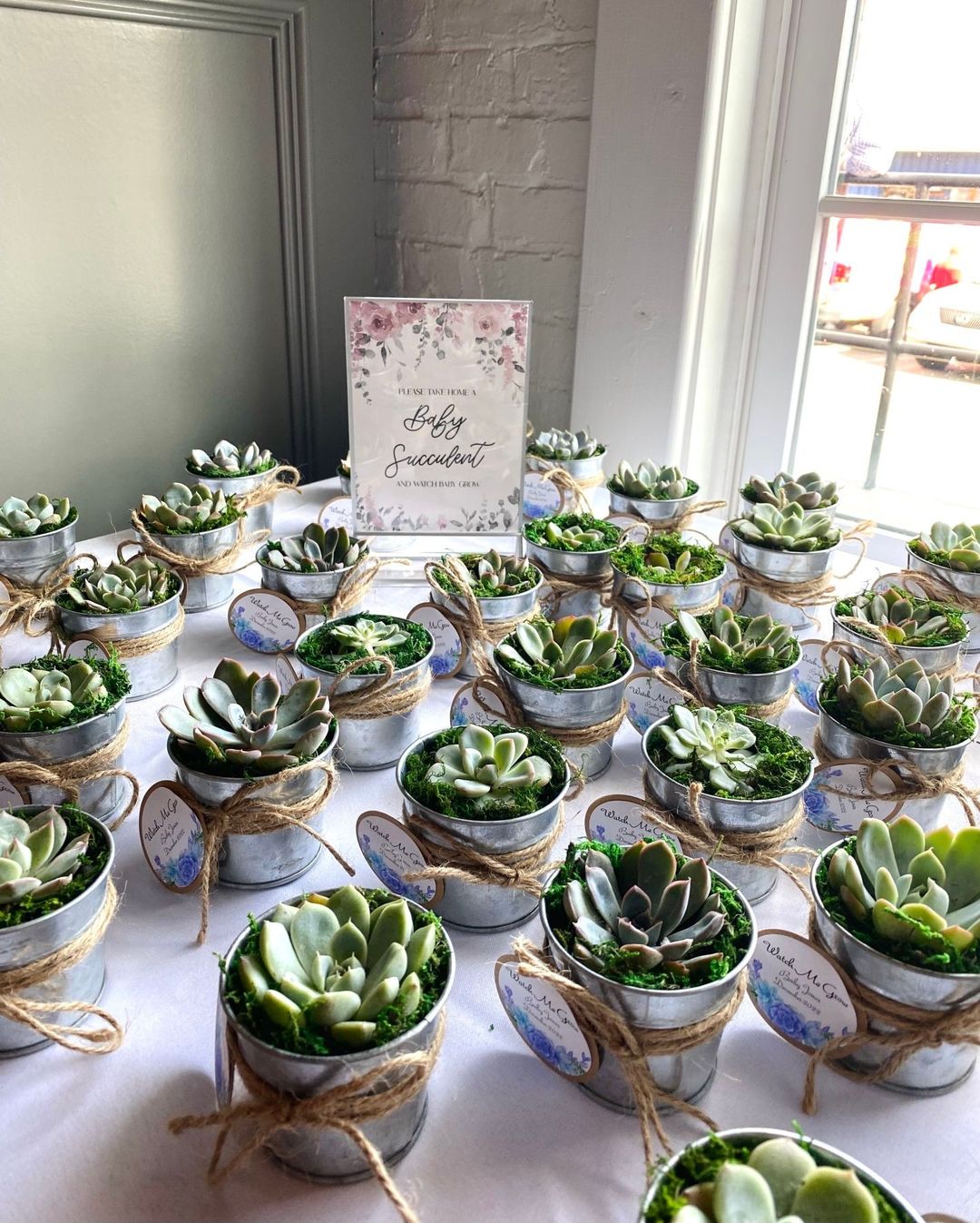 Baby succulents are used as a baby shower favor. Photo by Instagram User @durhamexchange.