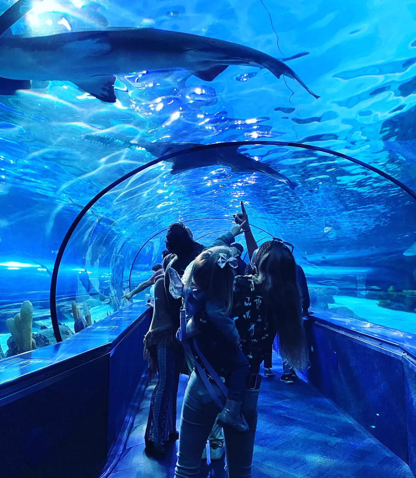 Ripley's Aquarium of Myrtle Beach. Photo by Instagram user @sunraysoul19.