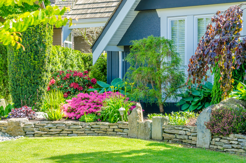 A green yard with a short stone retaining wall and lush landscaping atop of the wall