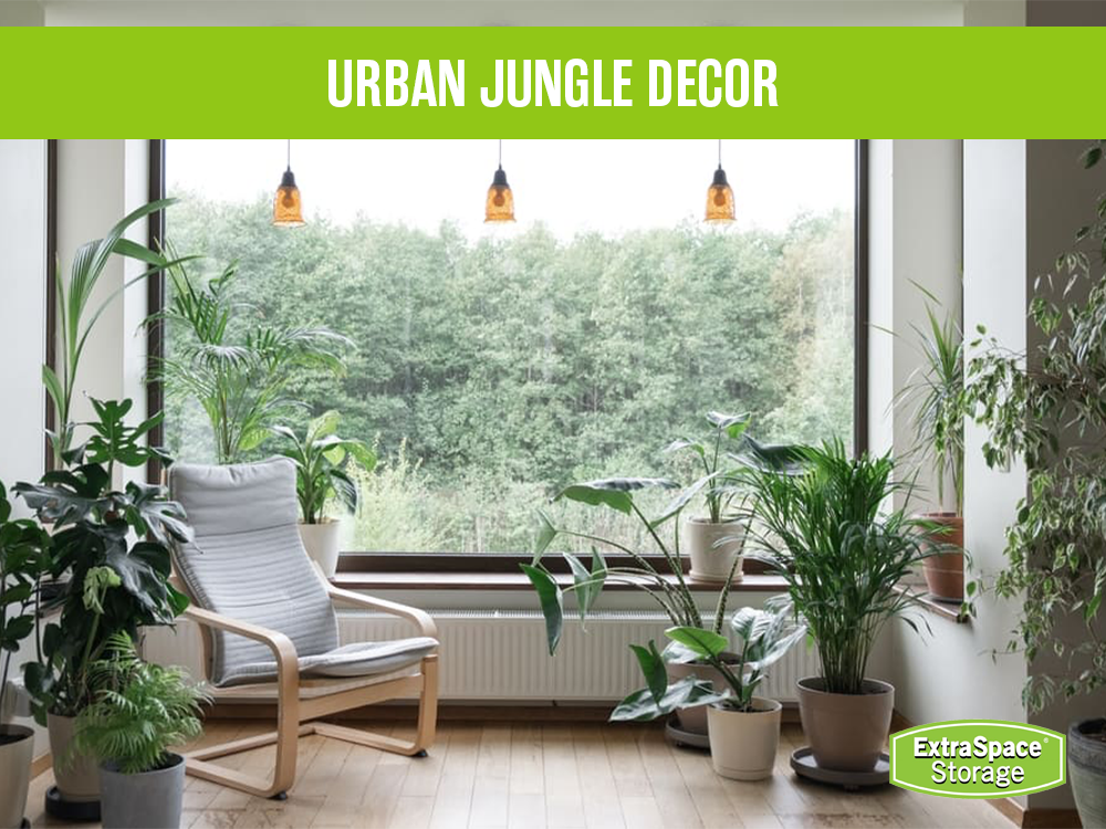 Urban Jungle Decor