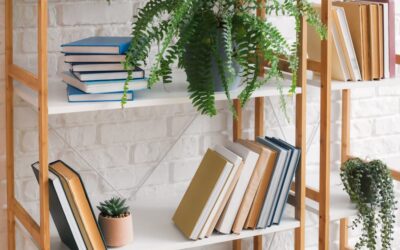 Ways to Organize Your Bookshelf