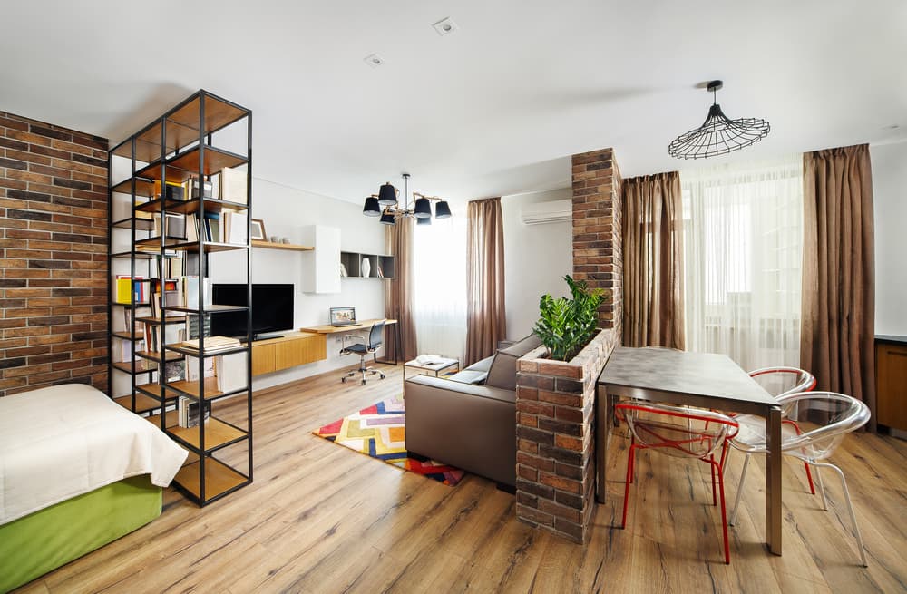 A studio apartment is divided into zones for sleeping, dining, entertainment, and storage.