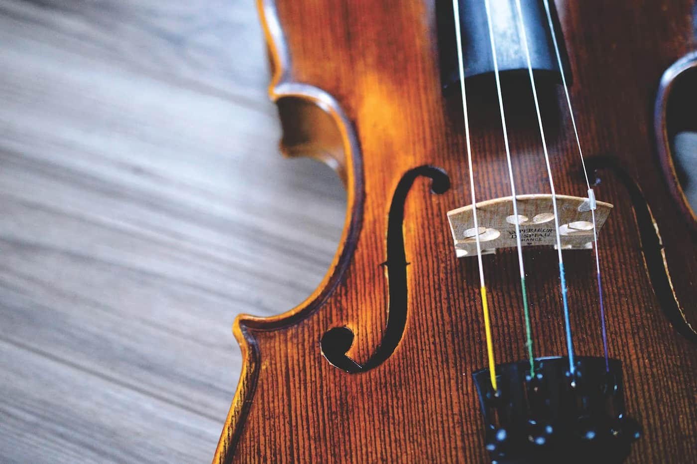 An up-close image of a violin's bridge.