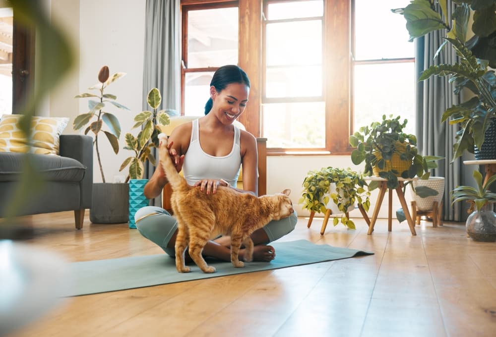 Woman happily petting her cat in an apartment