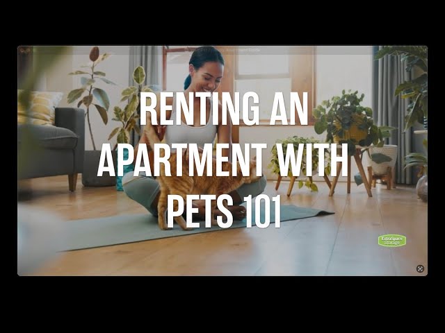 Renting an Apartment with Pets 101