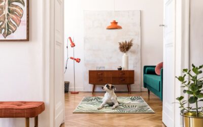 Interior Design Trends: Retro Minimalist Decor