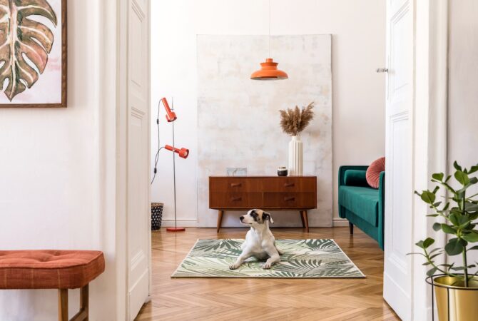 A retro minimalist room with a dog sitting on a rug.