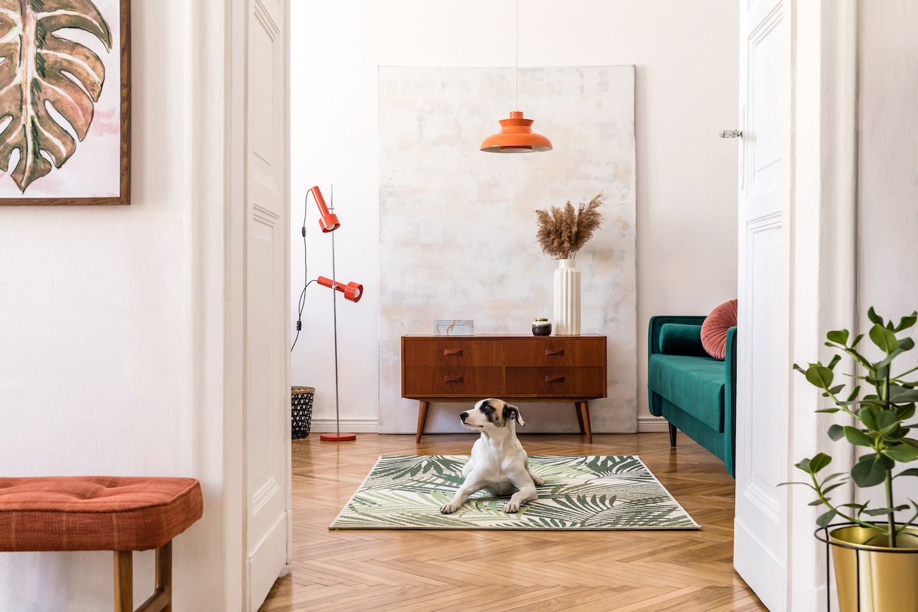 A retro minimalist room with a dog sitting on a rug.
